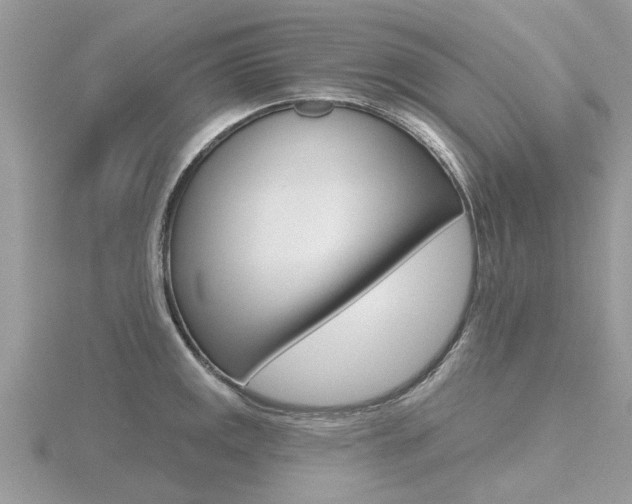 X0000116551141200912100958