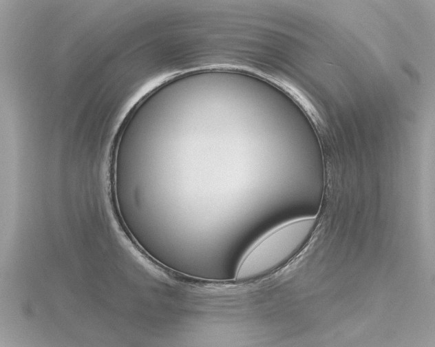 X0000116551142200912100958