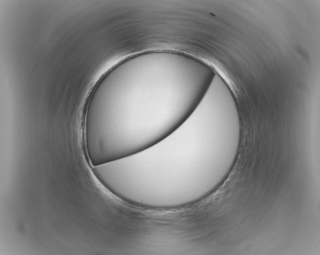 X0000116551143200912100958