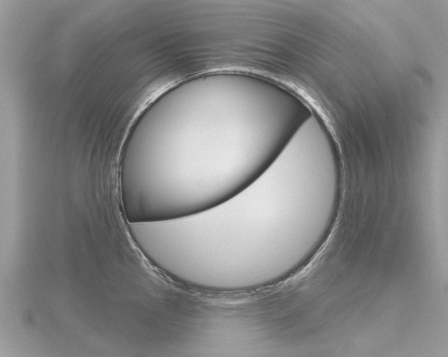 X0000116551145200912100958