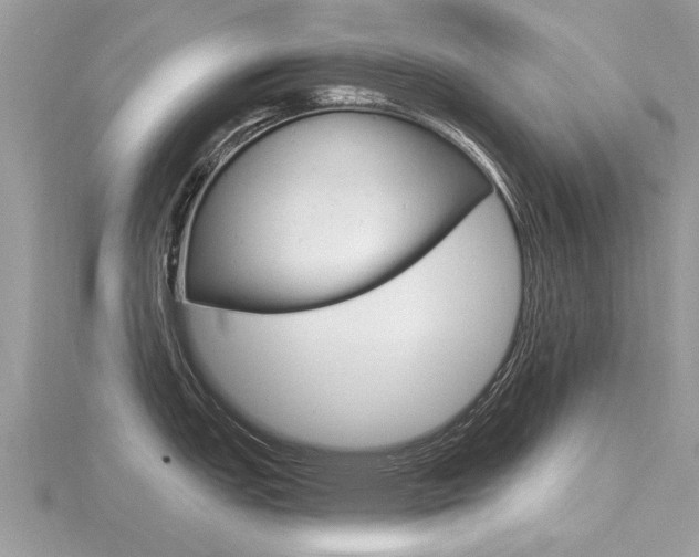 X0000116551151200912100958
