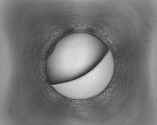 X0000116551153200912100957
