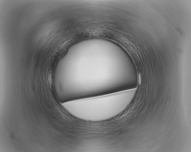 X0000116551155200912100957