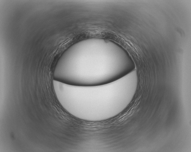 X0000116551156200912100957
