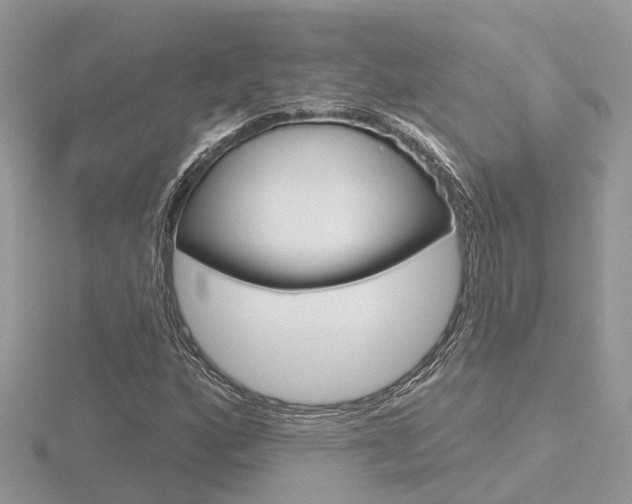 X0000116551160200912100957