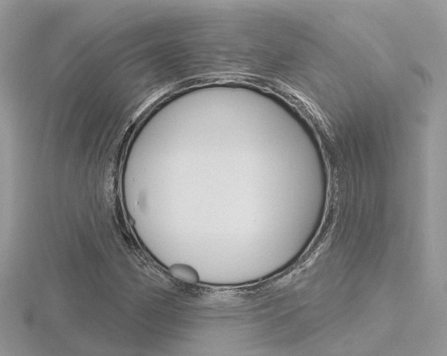 X0000116551162200912100957