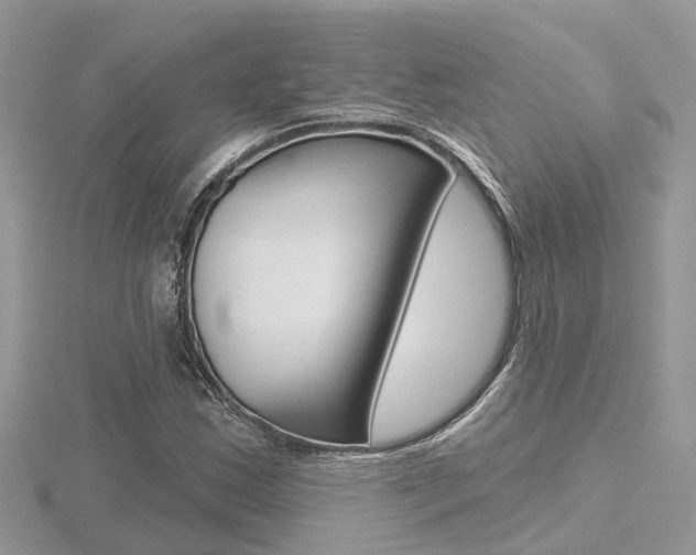 X0000116551163200912100957