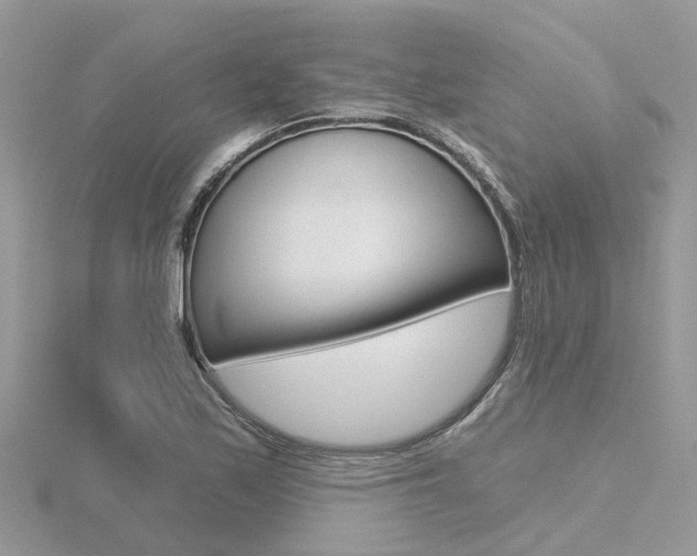 X0000116551171200912100957