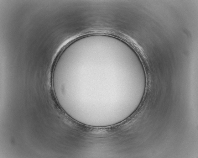 X0000116551174200912100957