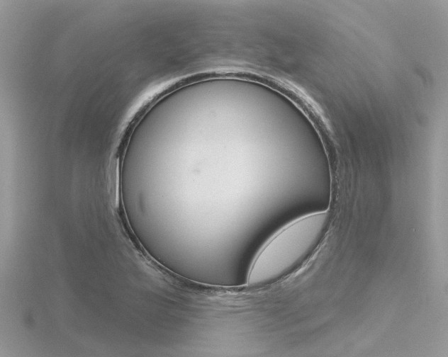X0000116551175200912100957