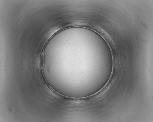 X0000116551177200912100957