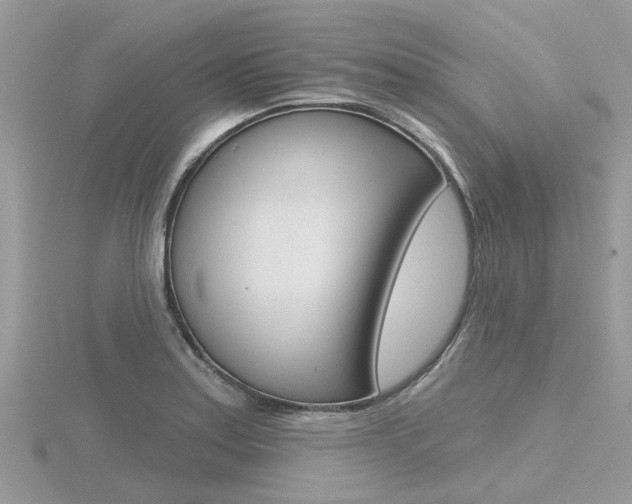 X0000116551179200912100957