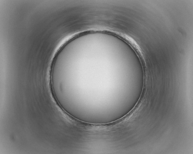 X0000116551183200912100957
