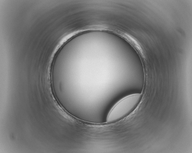 X0000116551192200912100957