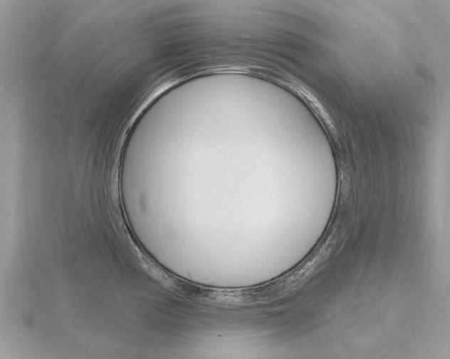 X0000116551194200912100957