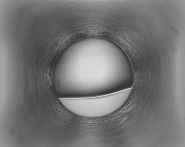X0000116551202200912100956