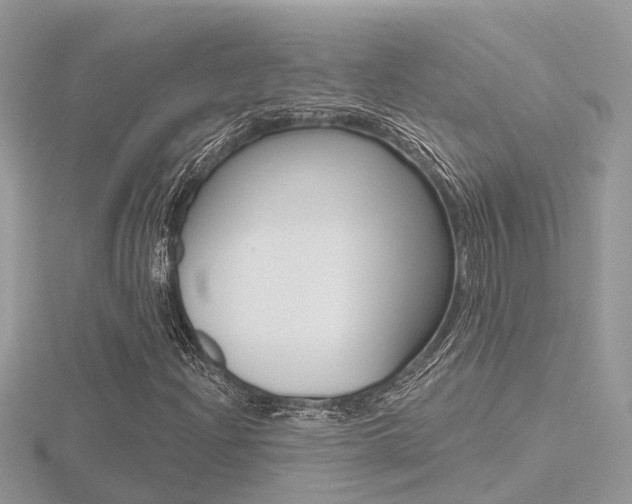 X0000116551204200912100956