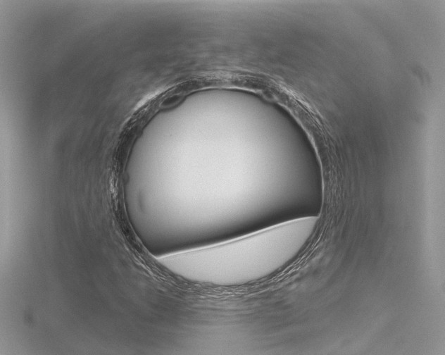 X0000116551206200912100956