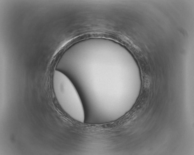 X0000116551208200912100956