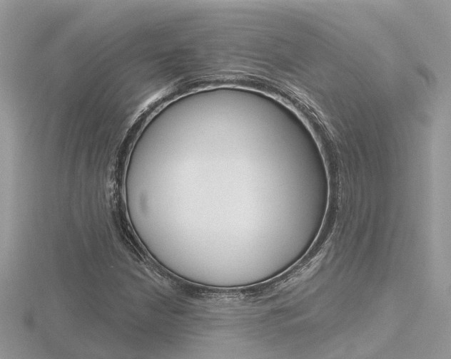 X0000116551210200912100956
