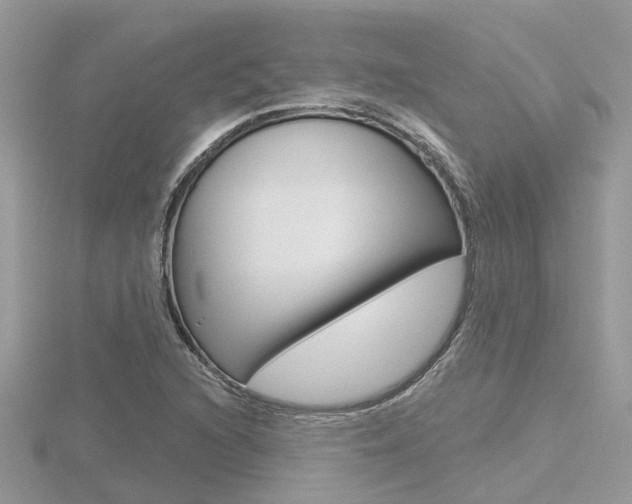 X0000116551216200912100956