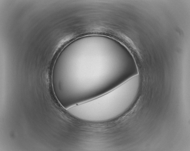 X0000116551218200912100956