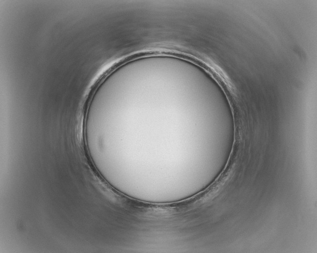 X0000116551224200912100956