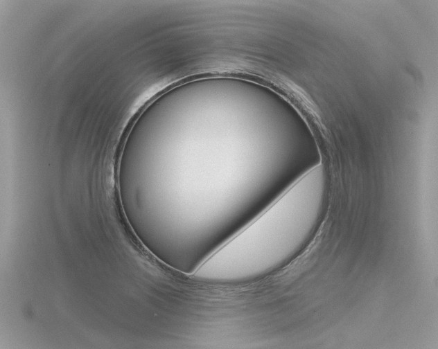 X0000116551226200912100956