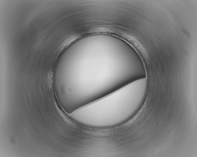 X0000116551233200912100956