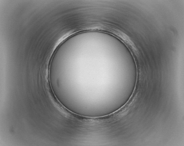 X0000116551234200912100956