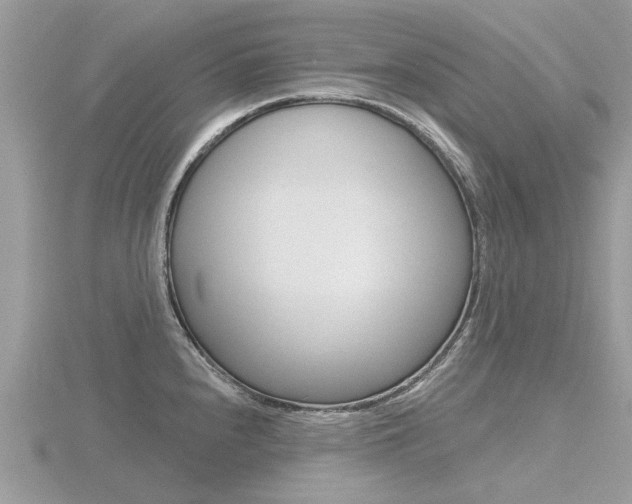 X0000116551240200912100956