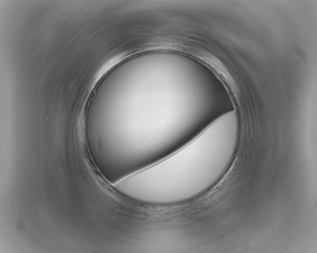X0000116551242200912100956