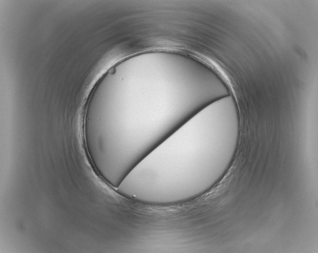 X0000116551243200912100956