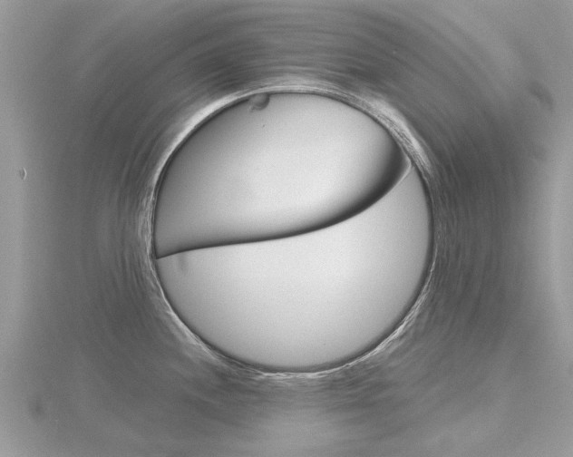 X0000116551244200912100956