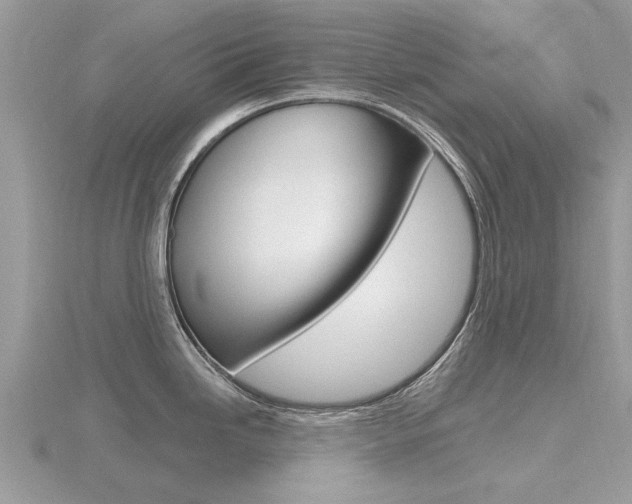 X0000116551246200912100956