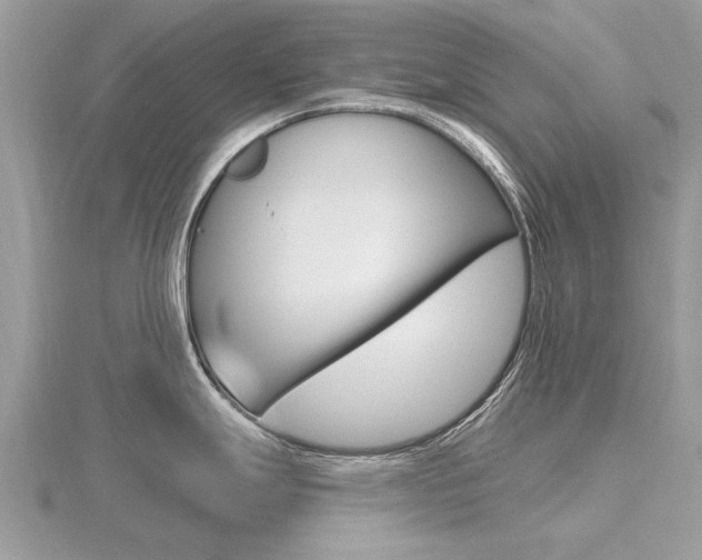 X0000116551247200912100956
