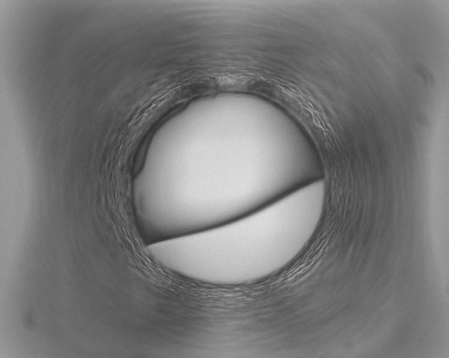 X0000116551249200912100956