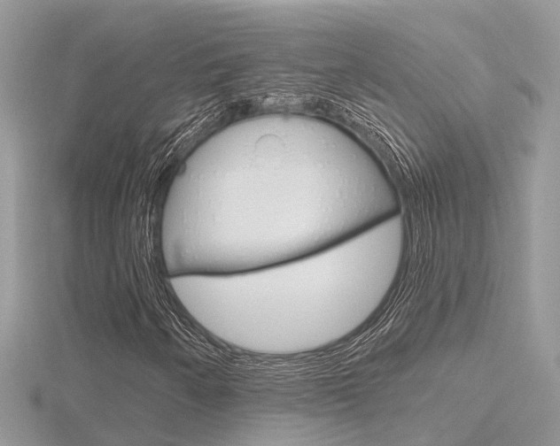 X0000116551250200912100956