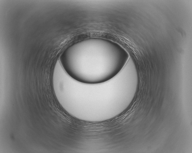 X0000116551252200912100956