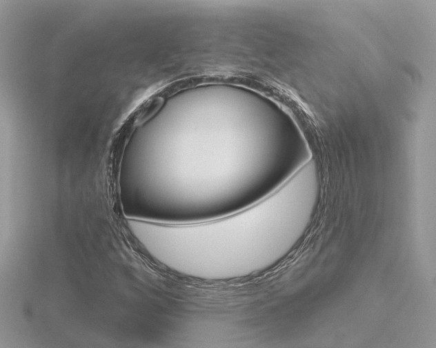 X0000116551256200912100956