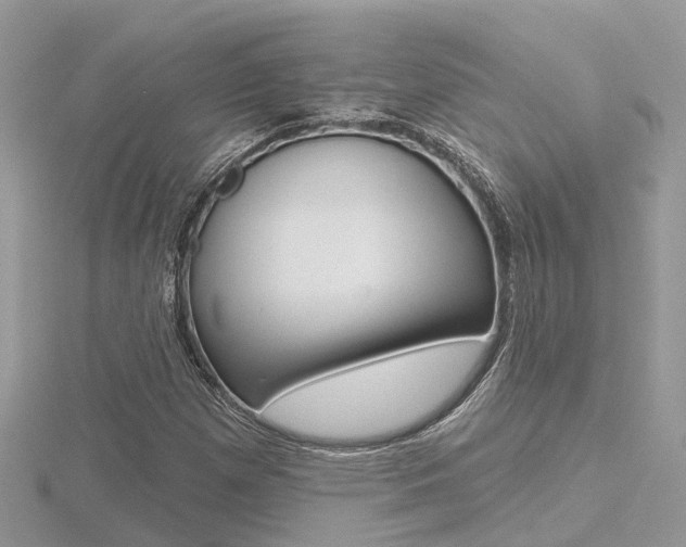 X0000116551257200912100956