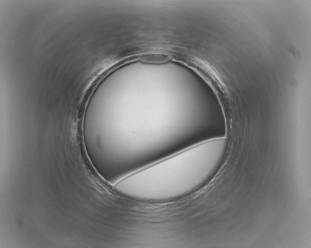 X0000116551260200912100956