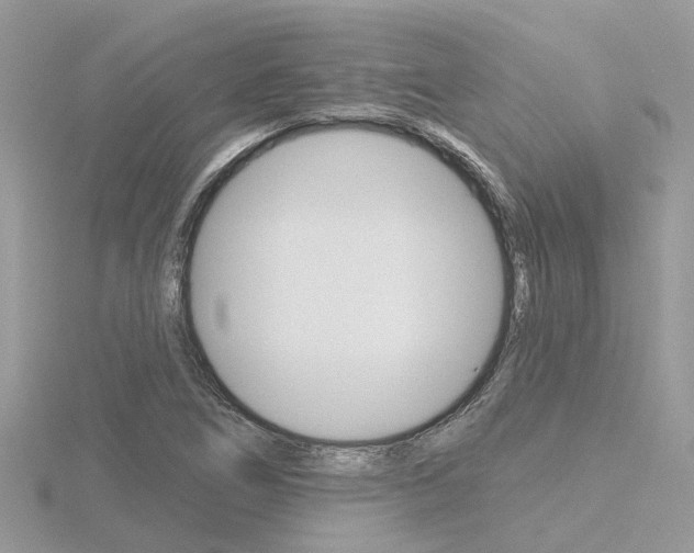 X0000116551266200912100956