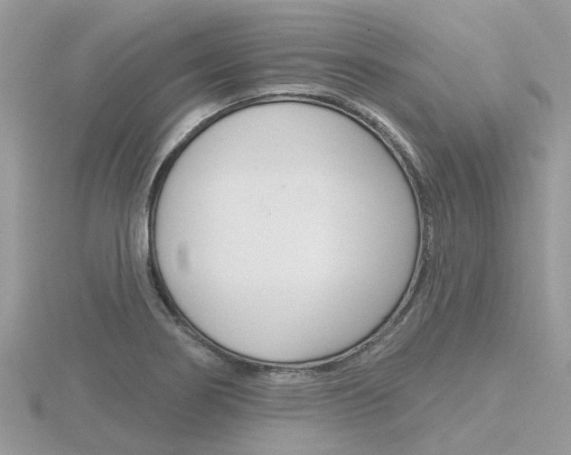 X0000116551274200912100955