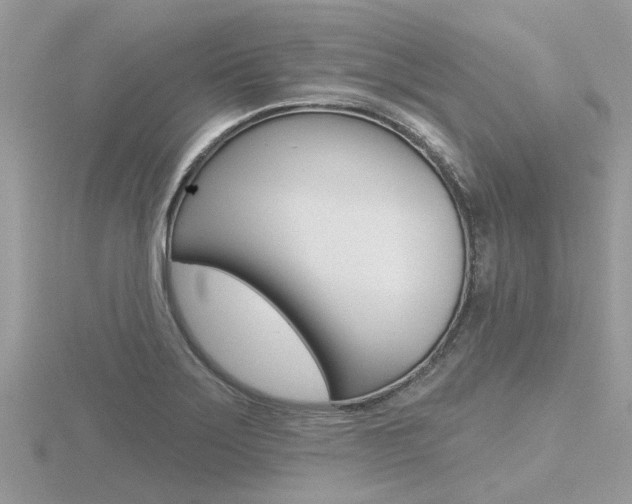 X0000116551275200912100955