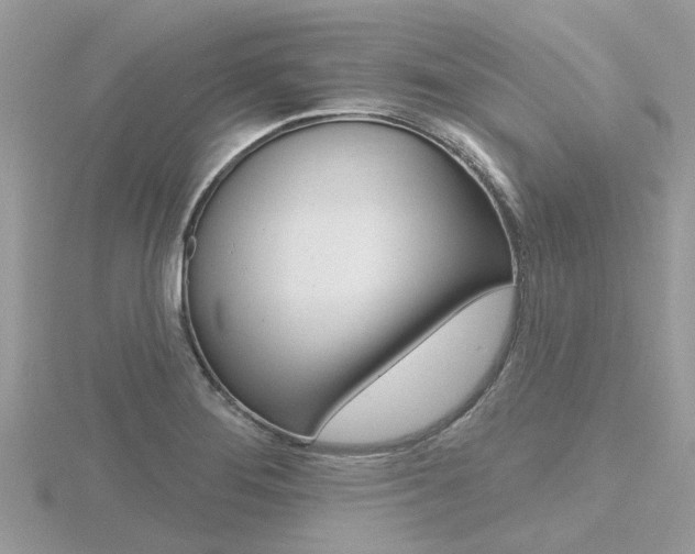 X0000116551276200912100955