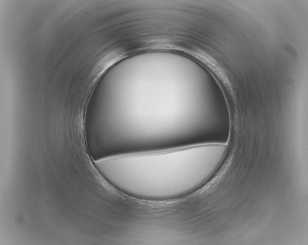 X0000116551289200912100955