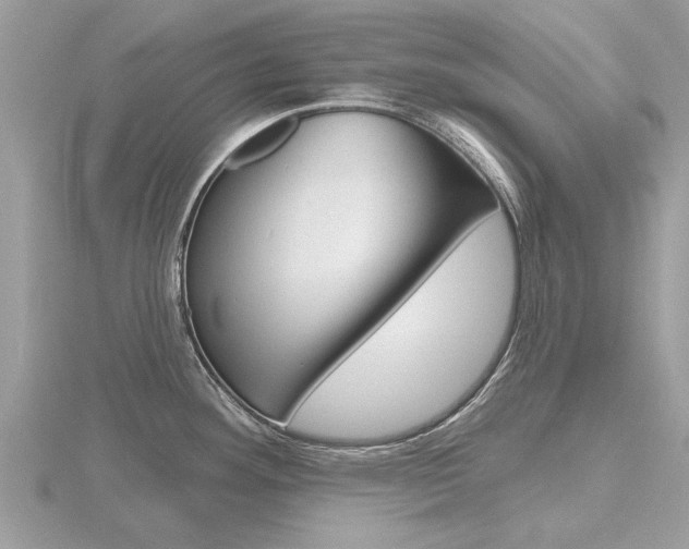 X0000116551292200912100955