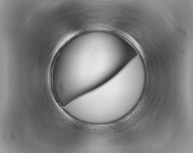 X0000116551293200912100955