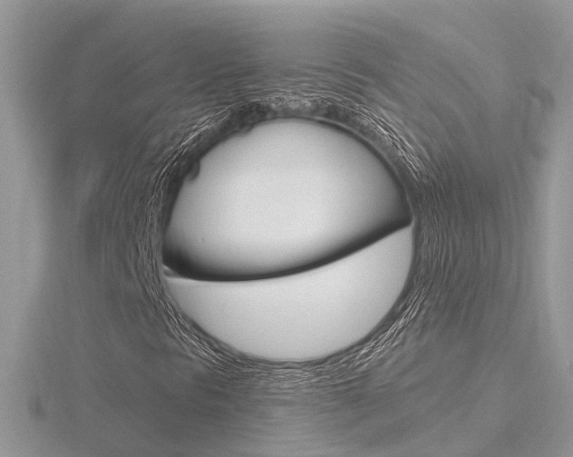 X0000116551297200912100954